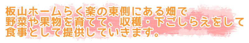 らく楽の東側にある畑で、野菜や果物を育てて、収穫・下ごしらえをして食事として提供していきます。