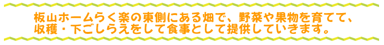 らく楽の東側にある畑で、野菜や果物を育てて、収穫・下ごしらえをして食事として提供していきます。