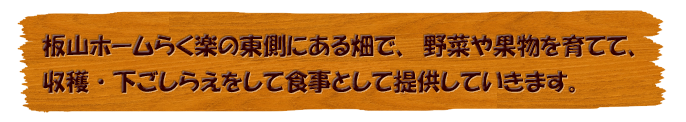 板山ホームらく楽の東側にある畑で、野菜や果物を育てて、収穫・下ごしらえをして食事として提供していきます。