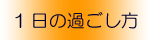 １日の過ごし方
