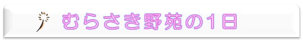 一日